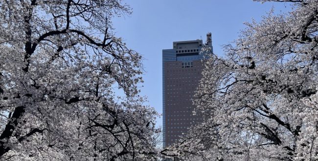 群馬・前橋の完全個室パーソナルジム