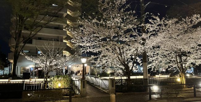 群馬・前橋の完全個室パーソナルジム