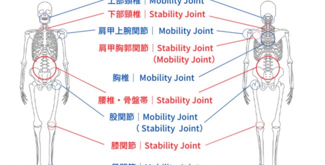 ジョイントバイジョイントセオリーの図